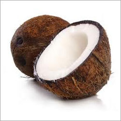 Coconut