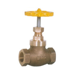 Globe Steam Stop Valve