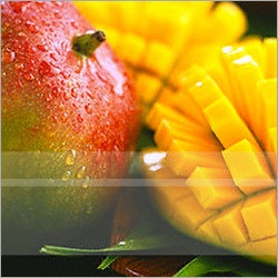 Totapuri Mango Pulp