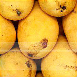 Fresh Mango Pulp