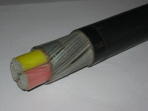Armoured Cable - Color: Black