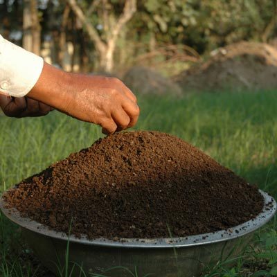 VERMICOMPOST