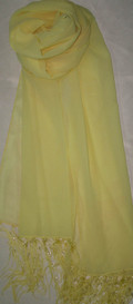 Georgette Scarves With Plain And Fringes