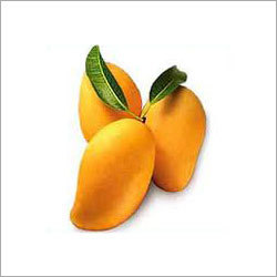 Fresh Mango