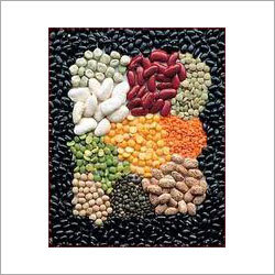 Seeds - Various Types, 99% Purity, 8% Moisture, 90% Germination Rate | High Yield, Disease Resistant, Fast Growth, Non-GMO, Easy Planting, Adaptable Varieties, Improved Quality