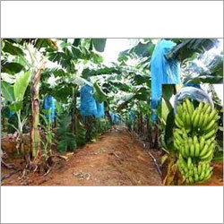 PP Nonwoven Crop Protection Fabric