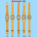 Brass Mens' Sports Watch  Case