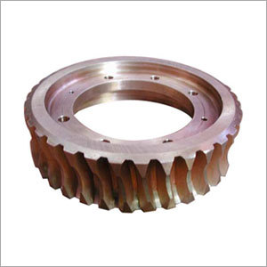 Worm Wheel