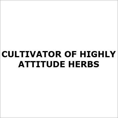 Natural Herbs Products