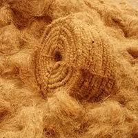 Coir Fibre