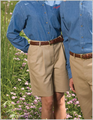 Business Casual Shorts