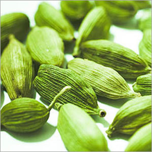 Cardamom