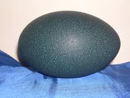 Fresh Emu Eggs