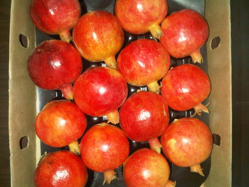 Pomogranates