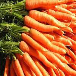 Fresh Carrot