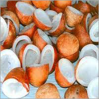 Coconut