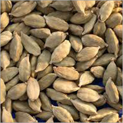 Cardamom Spice