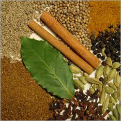 Indian Curry Spices