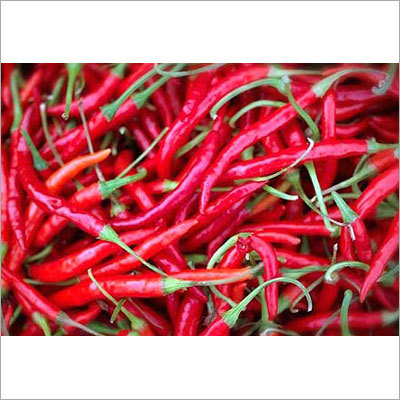 Fresh Red Chilli