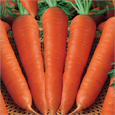 Fresh Red Carrot