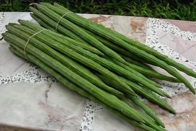 Green Drumstick