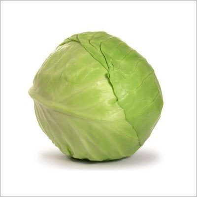 Fresh Green Cabbage