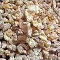 Boswellia Extract