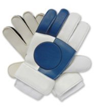 Cricket Gloves