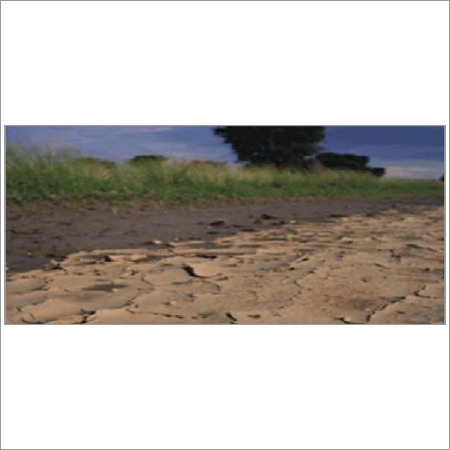Environmental Risk Consulting