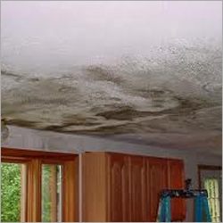 Roof Leak