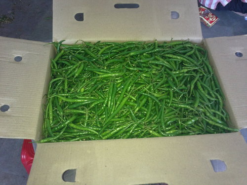 green chilli
