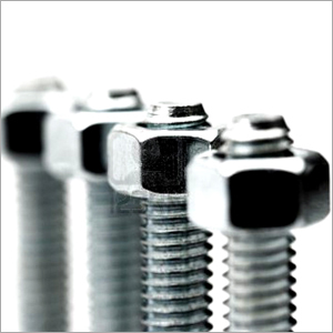Stainless Steel Nut