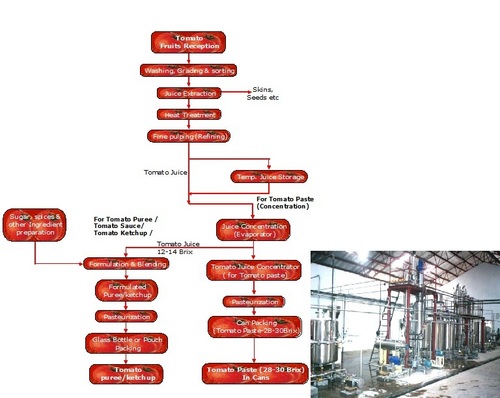 TOMATO PROCESSING PLANT