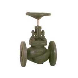 Globe Steam Stop Valve