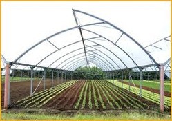 Green House Pipe