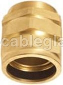 Brass CW Cable Gland