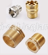 Brass PPR Inserts