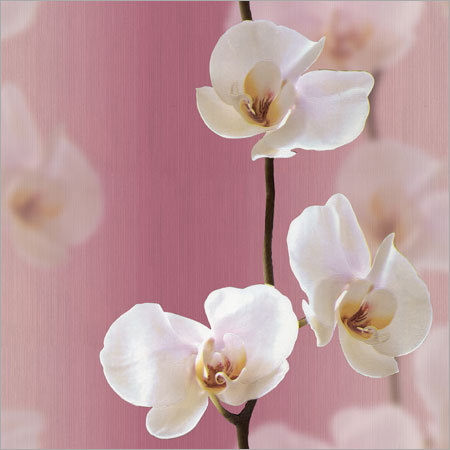 Natural Wallpapers