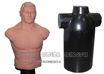 The test uses the stuffed dummy 