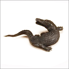 Leather Crocodile Statue