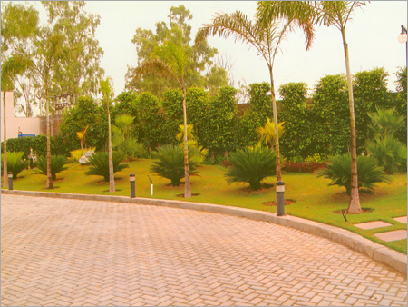 Garden Designing