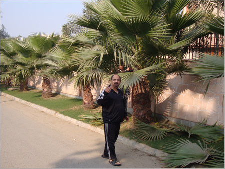 लैंडस्केप सेवाएं