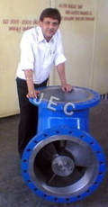 Axial Flow Pump(propeller Pumps)