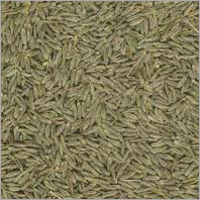 Cumin Seeds