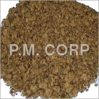 Growing Cotton From Seed