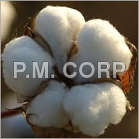 Organic Raw Cotton