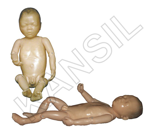 Newborn Baby Model