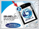 LP 03 IShield Protection Chip