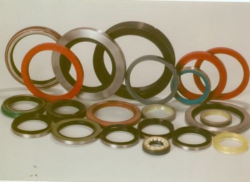 Oil Seals