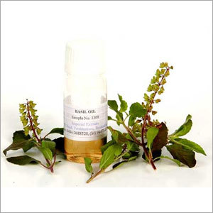 Tulsi Oil